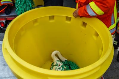 Steinheim a.d.M: Tierischer Feuerwehreinsatz - Verunglueckter Schwan wird gerettet